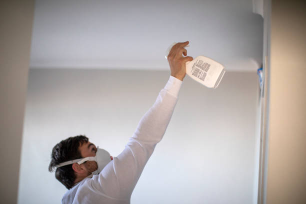Best Commercial Mold Remediation in Coal City, WV