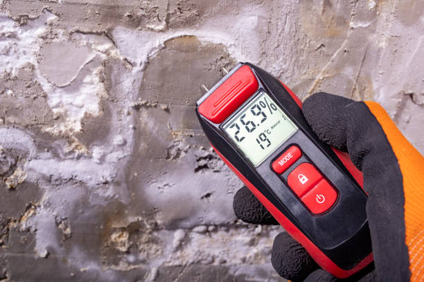 Best Attic Mold Remediation in Coal City, WV